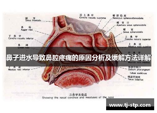 鼻子进水导致鼻腔疼痛的原因分析及缓解方法详解